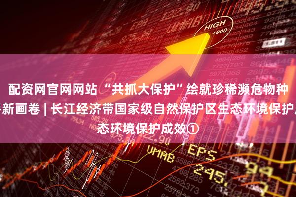 配资网官网网站 “共抓大保护”绘就珍稀濒危物种保护崭新画卷 | 长江经济带国家级自然保护区生态环境保护成效①