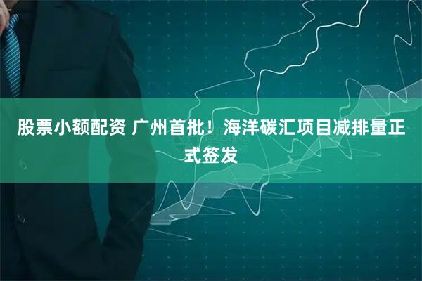 股票小额配资 广州首批！海洋碳汇项目减排量正式签发